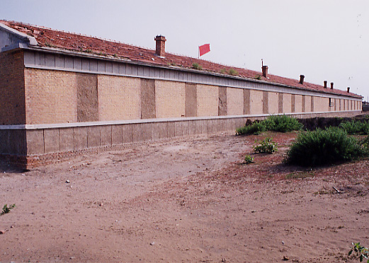 �������ӏ��w�Z�̌����ʐ^�|�R