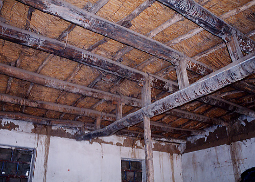 �������ӏ��w�Z�̌����ʐ^�|�S