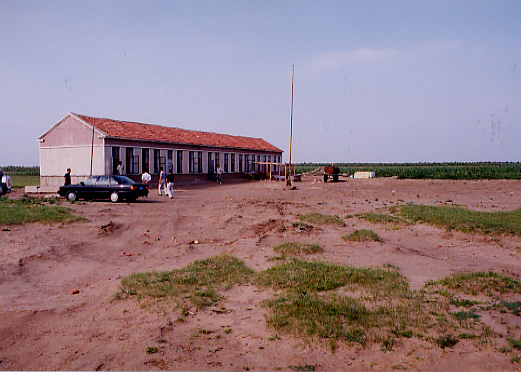 ���Ñ䏬�w�Z�̌����ʐ^�|�Q