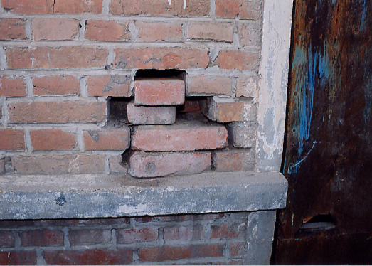 �i�����w�Z�̌����ʐ^�|�Q