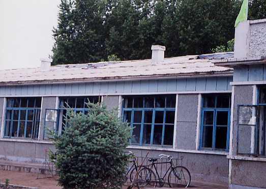 �x�`���w�Z�̌����ʐ^�|�R