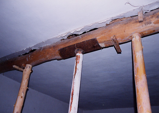 �x�`���w�Z�̌����ʐ^�|�Q