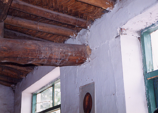 ���ݏ��w�Z�̌����ʐ^�|�R